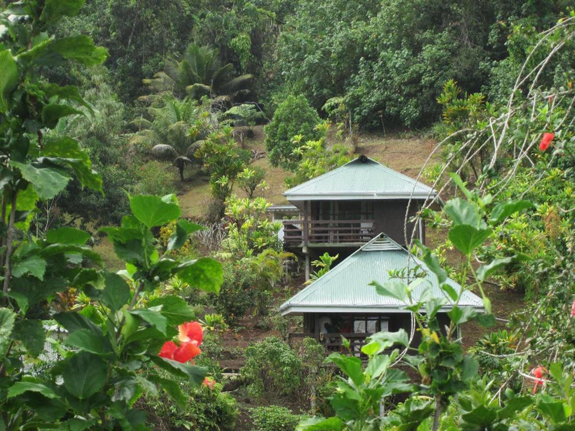 Pension Te Maeva Opoa Extérieur photo